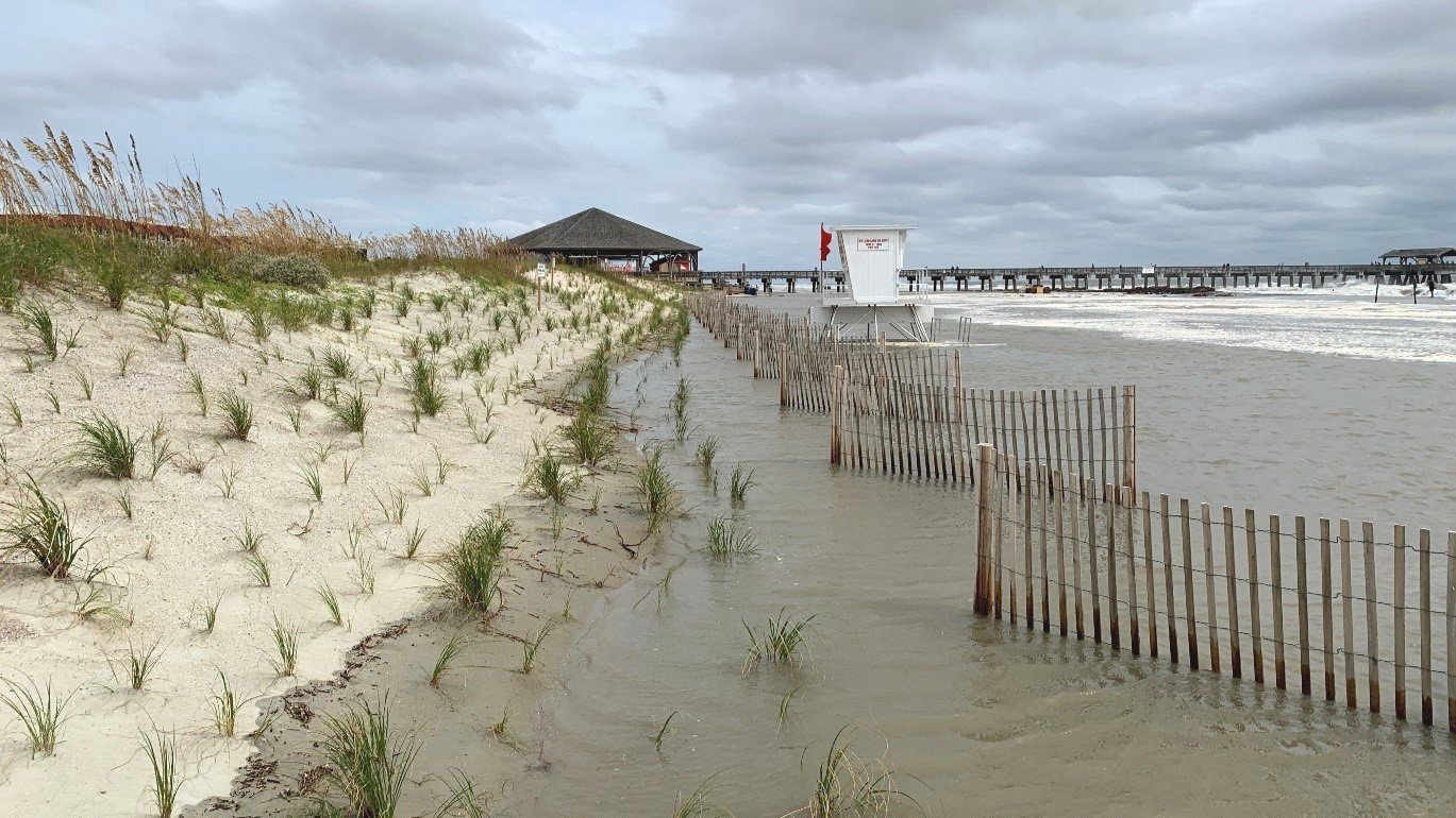 Coastal Dune Restoration on Tybee Island, GA - Resilient Tybee